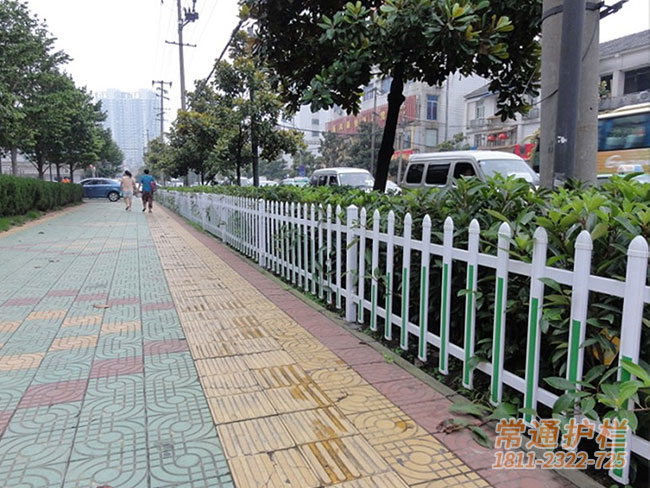 常州塑钢花圃围栏PVC绿化护栏